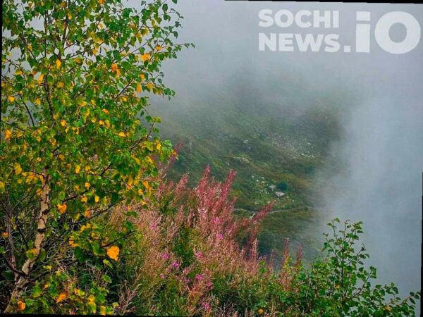 Неделя в Сочи начинается с туманов