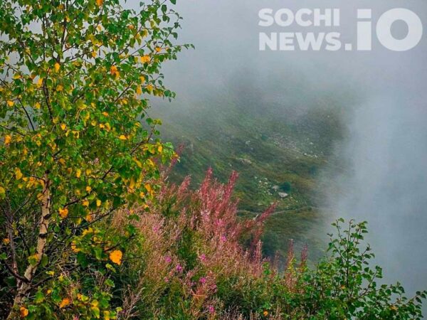 Туман, дожди и гроза в Сочи: что ждать?