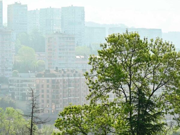 Дожди и туман ожидаются в Сочи на выходные