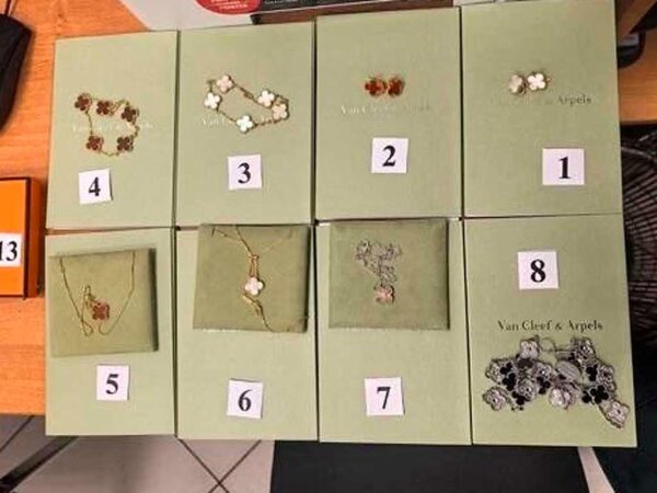 В Сочи задержали женщину с контрабандой драгоценностей на 32 млн рублей