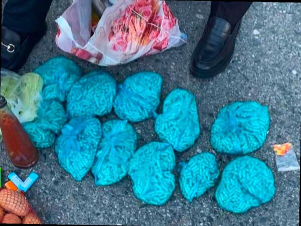 На границе с Абхазией остановили попытку провоза наркотиков