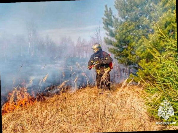 В лесах Краснодарского края временно запретили разводить костры и жарить шашлыки, а также ограничили въезд транспорта с 12 июня по 2 июля. Это сделано для предотвращения возгораний, рассказали в Центре управления регионом.