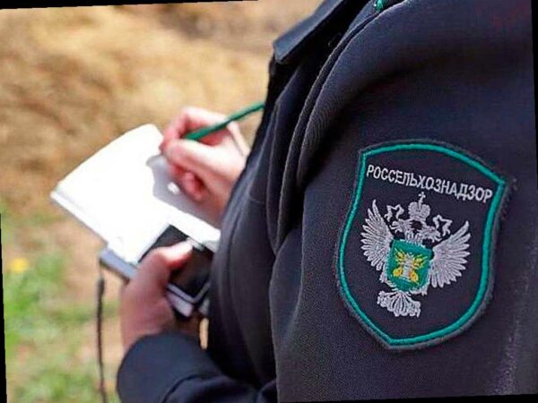 В Адыгее обнаружено 7 зон с опасным сорняком