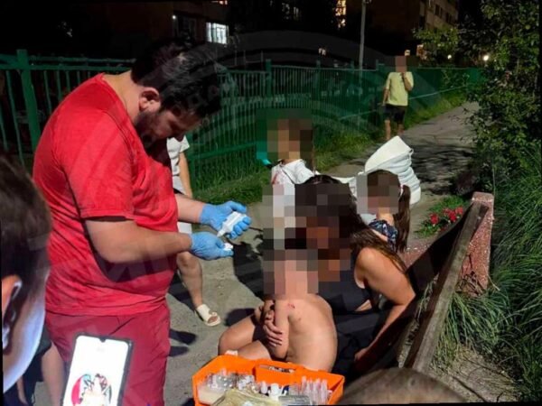В Сочи собака напала на ребенка на детской площадке
