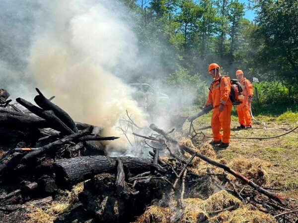 На Кубани ограничили пребывание в лесах до конца июля