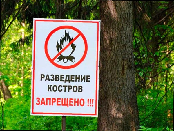 В Сочи объявлена пожароопасность 4 класса