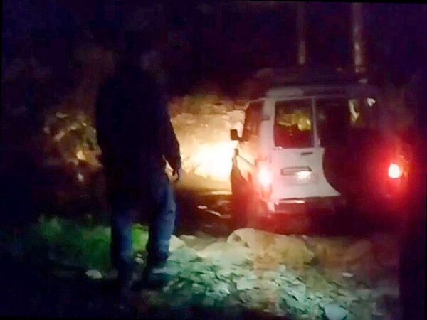 Четыре женщины заблудились в лесу во время ночной прогулки
