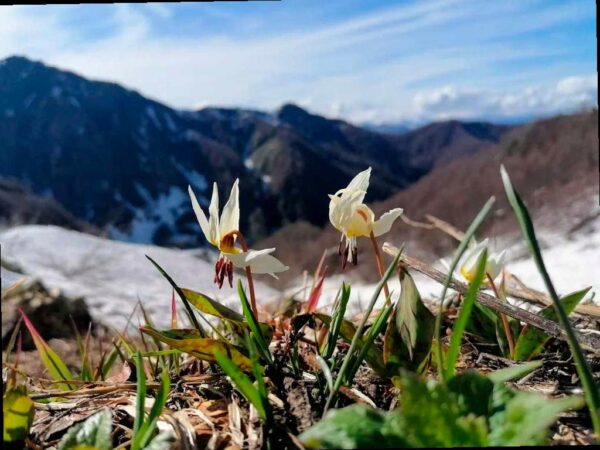 В Сочи представят фотовыставку победителей конкурса «Четыре сезона красоты»