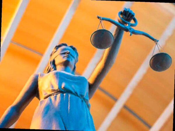 Штраф в 10 миллионов рублей за вырубку растений на участке в Сочи