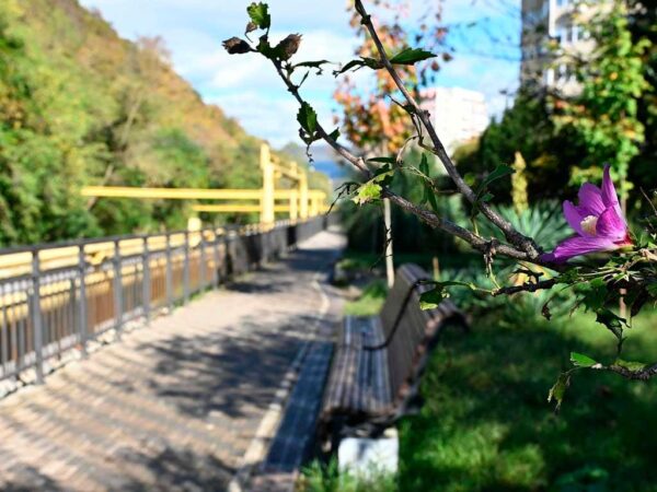 В Лазаревском районе Сочи скоро появится новая прогулочная аллея