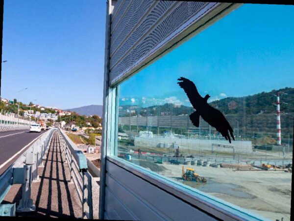 Дорожники в Сочи защищают птиц с помощью наклеек