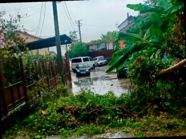 Борьба с последствиями непогоды в Сочи