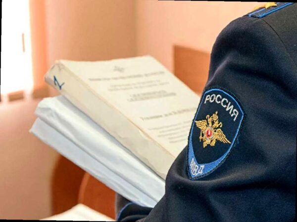 Жительница Сочи придумала смерть ребёнка для мошенничества