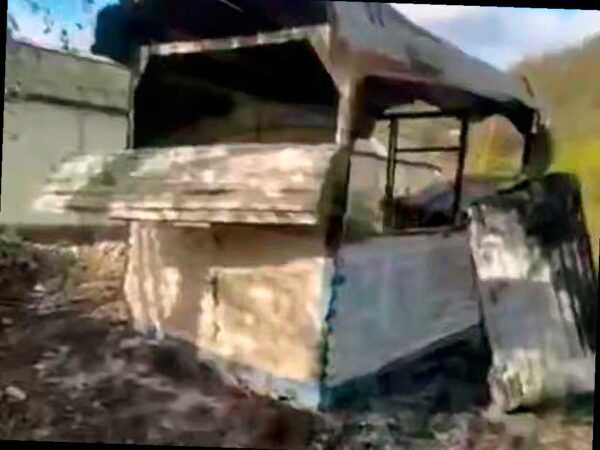 В Сочи заживо сожгли двух собак