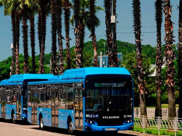 Вечерние автобусы будут курсировать в Сириусе