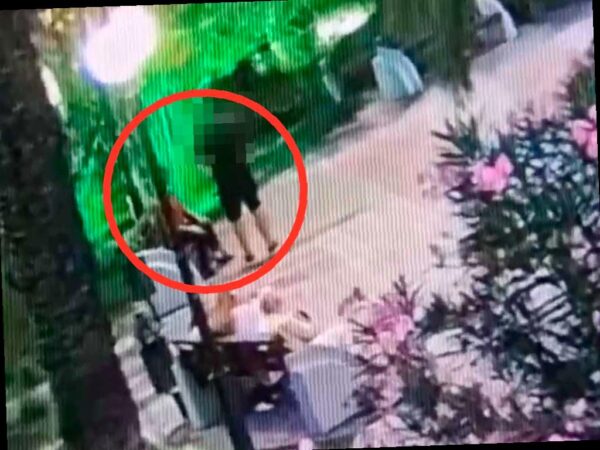 Москвич совершил грабеж в парке после встречи с местным жителем в Сочи