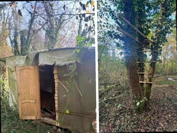 В Сочинском нацпарке обнаружено браконьерское укрытие