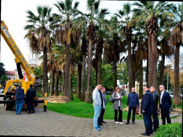 Благоустроят сквер «Кооперативный» в центре Сочи