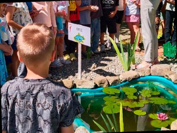 Три сочинские школы выиграли городской конкурс на лучшие экопроекты