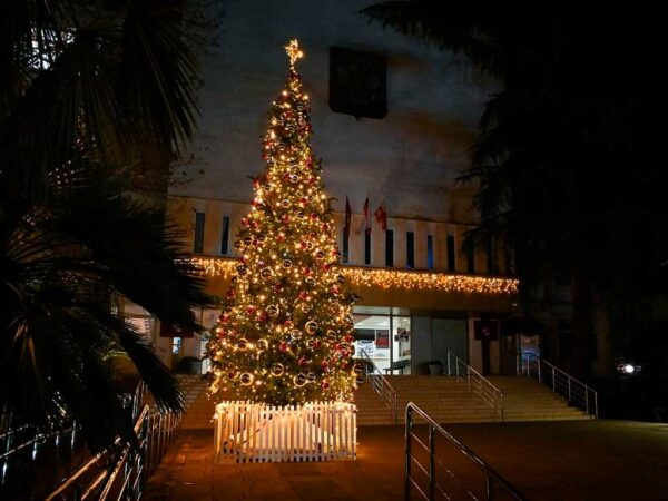 Улицы Сочи украшены 90 световыми арт-объектами