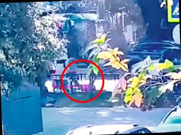 Житель Сочи нашел чемодан с деньгами и скрыл его, ждет суда