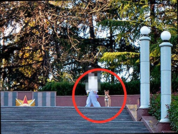 Депутат Виктор Тепляков осмотрел мемориальный комплекс в Сочи