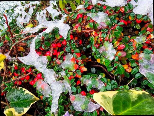 В Сочи наступают холода