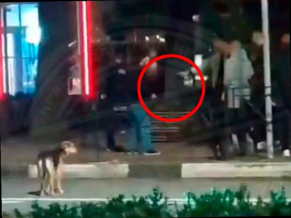 Ночная драка возле бара на Курортном проспекте в Сочи