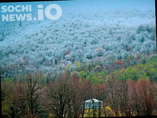 Сильный снегопад ожидается в горах Сочи