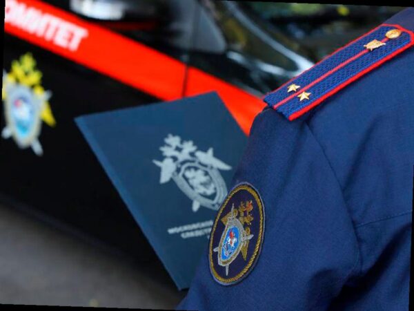 В Сочи раскрыто дело адвокатов-мошенников