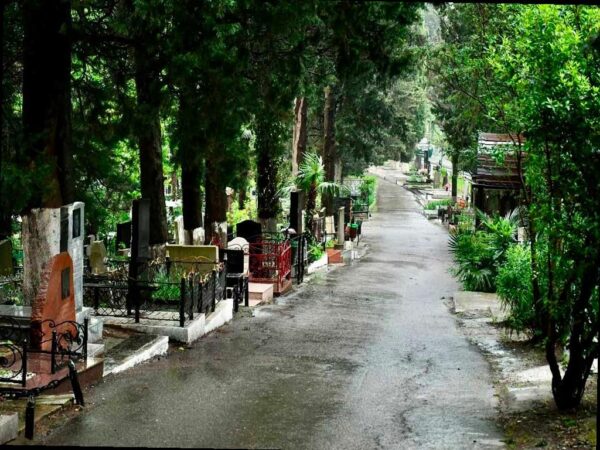 Цифровая трансформация кладбищ в Сочи завершится к 2027 году