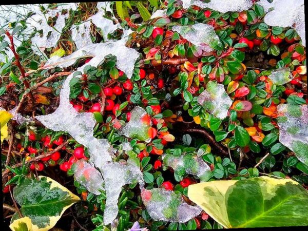 Заморозки и шторм в Сочи: ожидается непогода