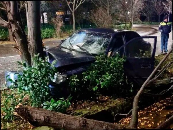 Подросток протаранил дерево на машине в Лазаревском