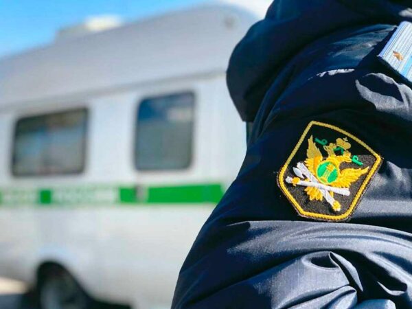 Криптовалюта не помогла: приставы в Кубани списали 1,7 млн рублей с криптокошелька алиментщика