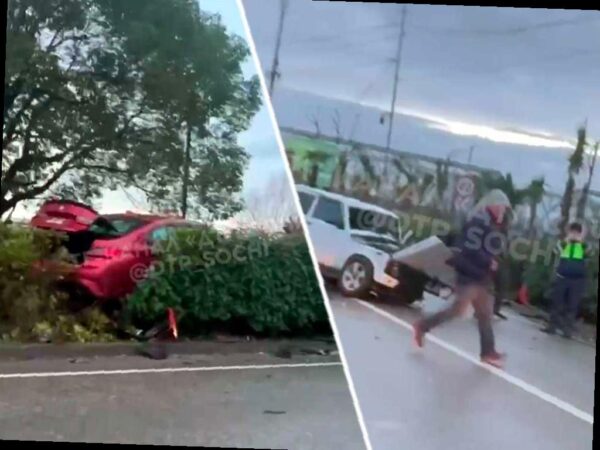 В Адлере легковушка улетела в кусты после столкновения