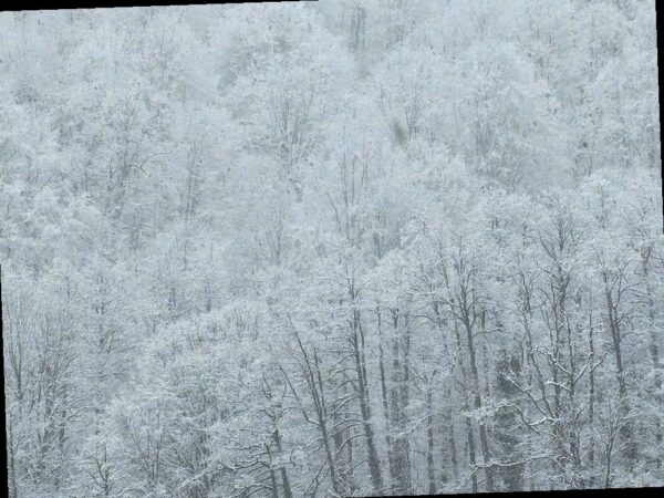 В горах Сочи ожидается сильный снегопад