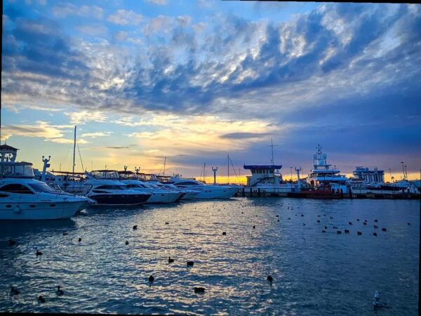 Отдых в Сочи в марте: природа, спа и уютный отдых