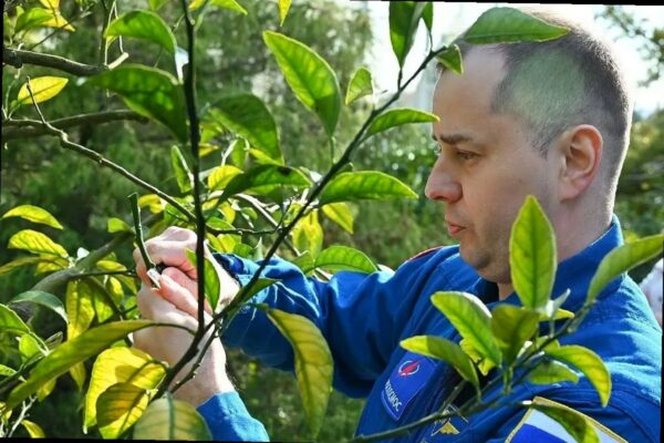 Космонавт Олег Платонов прошёл реабилитацию в Сочи и оставил «след» на