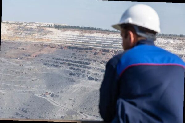 Суд приостановил миллиардный иск к «Сочинеруд» из-за уголовного дела о