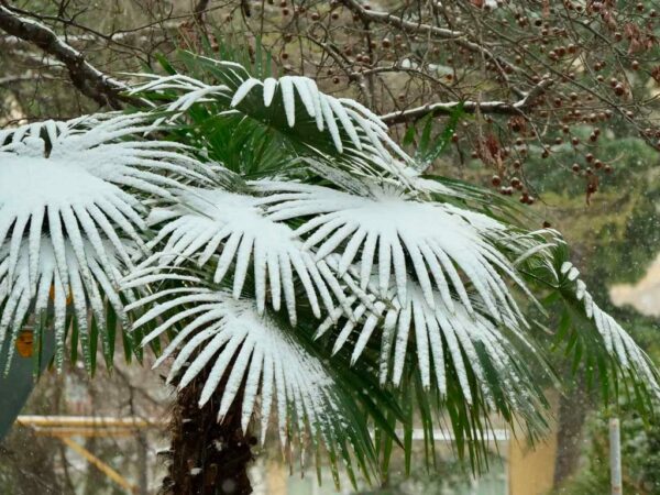 В предгорьях и горах Сочи прогнозируют снег и гололед